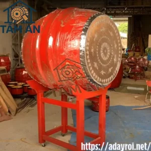 Mẫu trống trường cao đẳng