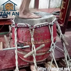 Sửa chữa trống trường học
