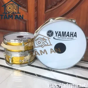 Trống Đội Giá Rẻ 1 Trống đội nghi thức