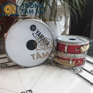 Trống đội giá rẻ