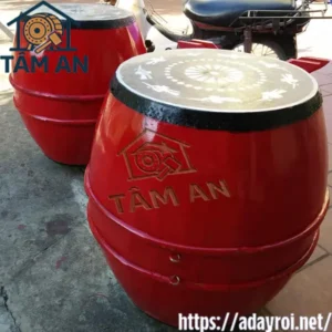 Trống Trường Tiểu Học 2 Trống trường tại cơ sở Tâm An