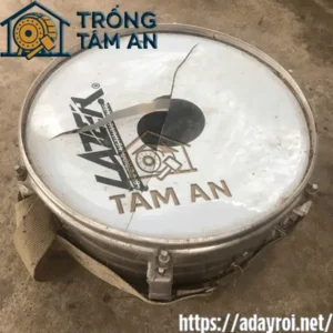 Sửa chữa trống đội