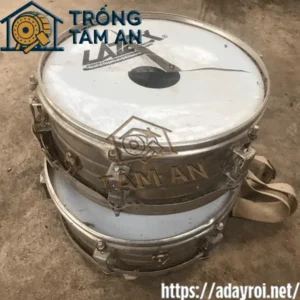 Nhận Sửa Chữa Trống Đội 2 Sửa chữa trống đội giá rẻ